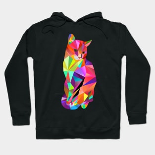 Karl Kater Hoodie